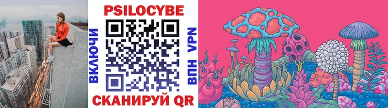 что такое наркотик  Зверево  Псилоцибиновые грибы Psilocybe 